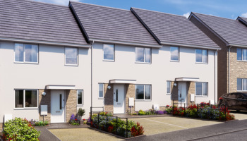 VIS001 Mayflower Leat Plot 38 002