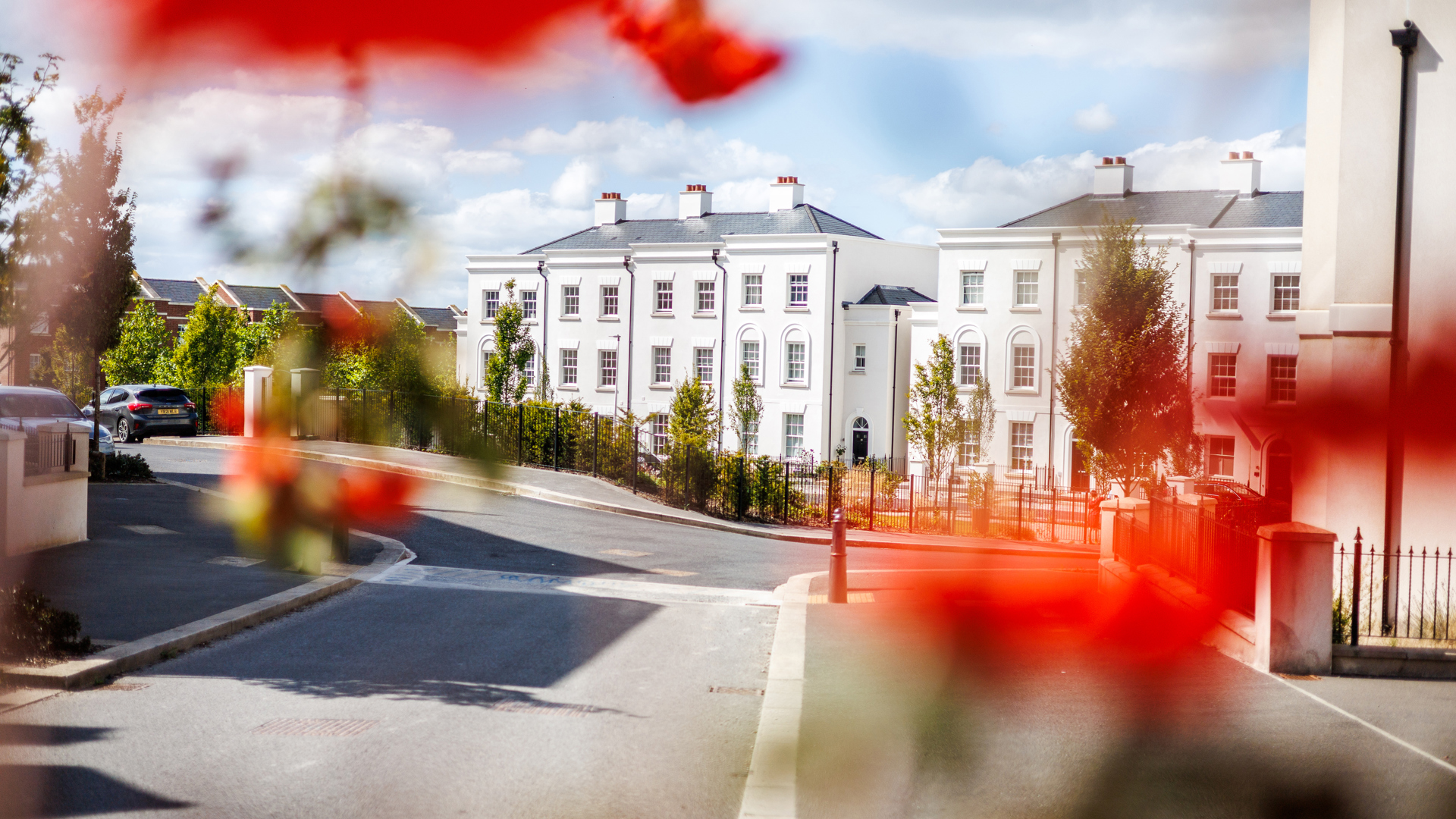 CP Sher 050924 94 (1)