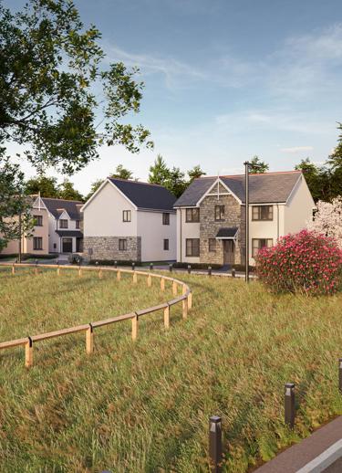 Wain Homes lifton street scene